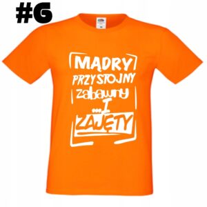Mądry Przystojny Zabawny i Zajęty, – koszulka męska OUTLET, produkt po zwrocie