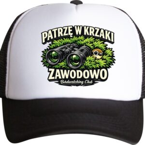 czapka patrzę w krzaki ptaki